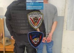 V.G.G.: CAYÓ UN PRÓFUGO DE LA JUSTICIA TRAS UN OPERATIVO PEDESTRE