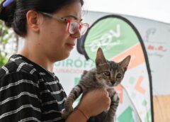 LA MUNICIPALIDAD ORGANIZA UNA JORNADA MASIVA DE VACUNACIÓN Y DESPARASITACIÓN DE MASCOTAS