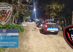 VIOLENCIA DE GÉNERO EN V.G.G.: PERSISTÍA EN HOSTIGAR A SU EXPAREJA Y TERMINÓ DETENIDO