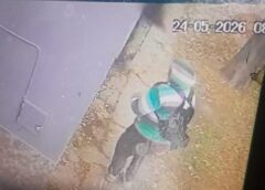V.G.G.: DETENIDO POR ROBO Y VIOLACIÓN DE DOMICILIO TRAS SER IDENTIFICADO POR CÁMARAS Y REDES SOCIALES