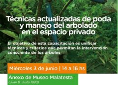 ¡SE VIENE UNA AGENDA SÚPER VERDE Y SUSTENTABLE EN VILLA GOBERNADOR GÁLVEZ!