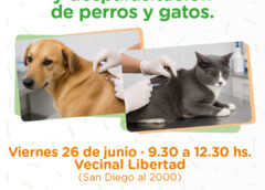 LA MUNICIPALIDAD ORGANIZA UNA JORNADA MASIVA DE VACUNACIÓN Y DESPARASITACIÓN DE MASCOTAS EN SAN DIEGO AL 2000