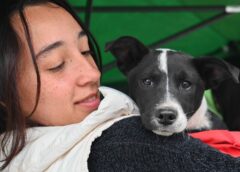 LA MUNICIPALIDAD ORGANIZA UNA JORNADA MASIVA DE VACUNACIÓN Y DESPARASITACIÓN DE MASCOTAS