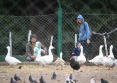 LA GRANJA EDUCATIVA DEL PARQUE REGIONAL CELEBRA EL CUARTO ANIVERSARIO CON ENTRADA LIBRE Y GRATUITA