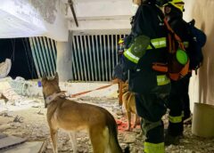 ESCÁNER, SENSORES Y PERROS: CÓMO FUE LA PRIMERA BÚSQUEDA DE LA BRIGADA SANTAFESINA EN LA ZONA DE DESASTRE DE VENEZUELA