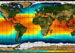 11 julio 2026 – 15:55 Hs. INFORME ESPECIAL