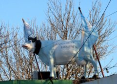 CUANDO EL MUNDIAL SE VIVE CON EL CORAZÓN: UNA VACA EN EL TECHO Y UN HOMENAJE QUE EMOCIONA