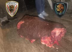 CAYERON CINCO HOMBRES CON VACAS FAENADAS TRAS EL VUELCO EN CIRCUNVALACIÓN