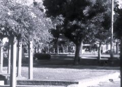 V.G.G.: VIOLENTO ROBO EN LA PLAZA DE LA MADRE DEJA A UN HOMBRE HOSPITALIZADO CON TRAUMATISMO DE CRÁNEO