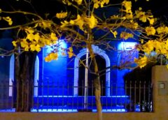 IMPULSAN CAMBIOS EN LA DEFENSORÍA DE ADULTOS MAYORES PARA LLEGAR A LOS BARRIOS