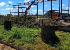 ATENTADO AMBIENTAL EN VILLA GOBERNADOR GÁLVEZ: UNA EMPRESA PRIVADA ARRASO CON ÁRBOLES DE MÁS 40 AÑOS SIN NINGUNA AUTORIZACIÓN