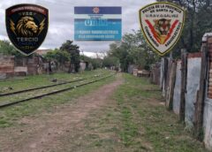 VILLA GOBERNADOR GÁLVEZ | SECUESTRAN 55 PLANTAS DE MARIHUANA A LA VERA DE LAS VÍAS Y QUEDÓ IMPUTADO UN HOMBRE DE 30 AÑOS