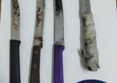 NUEVA DETENCIÓN EN CASEROS Y SAN DIEGO: INTENTABAN ROBAR CABLES Y DAÑAR UNA CÁMARA PÚBLICA